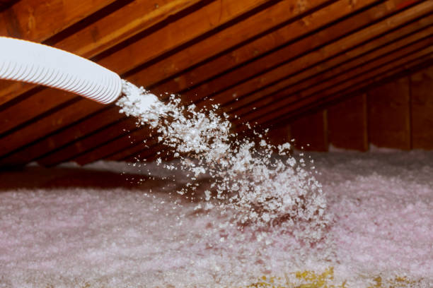 Best Insulation Maintenance and Repair in Newark, NJ